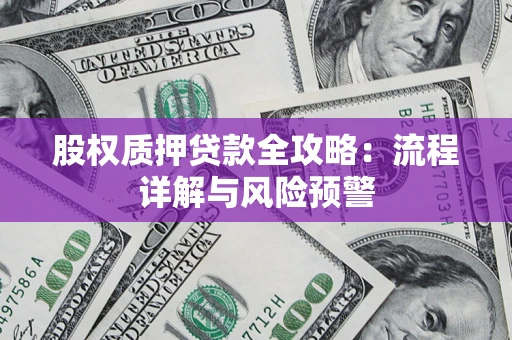 武汉股权质押贷款全攻略：流程详解与风险预警