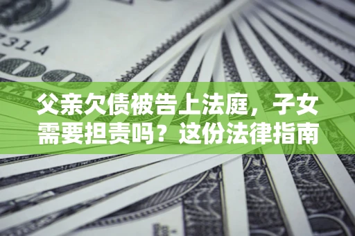 武汉父亲欠债被告上法庭，子女需要担责吗？这份法律指南必须看完