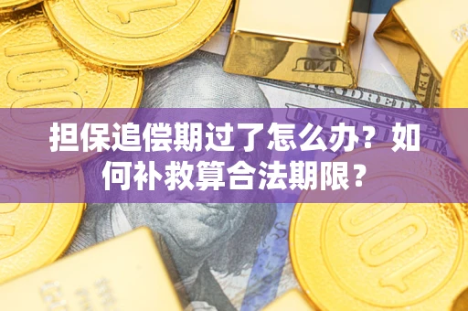 武汉担保追偿期过了怎么办？如何补救算合法期限？