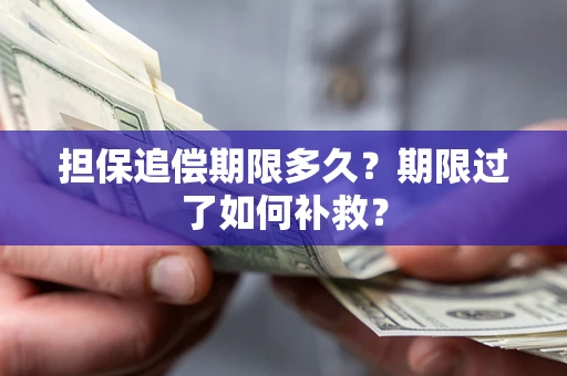 武汉担保追偿期限多久？期限过了如何补救？