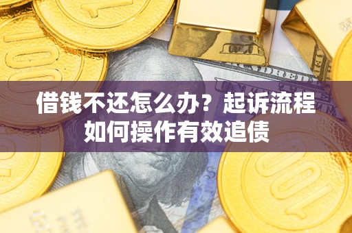 武汉借钱不还怎么办？起诉流程如何操作有效追债
