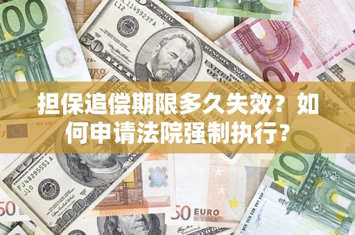 武汉担保追偿期限多久失效？如何申请法院强制执行？