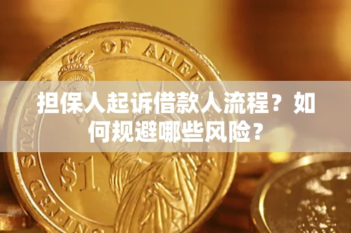 武汉担保人起诉借款人流程？如何规避哪些风险？