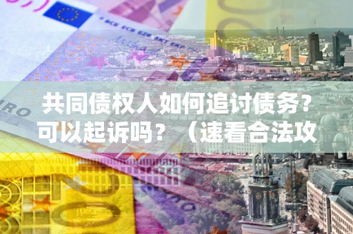 武汉共同债权人如何追讨债务？可以起诉吗？（速看合法攻略）