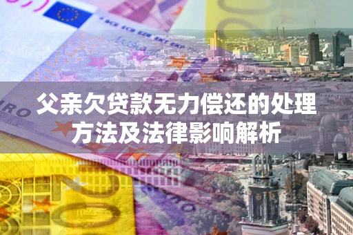 武汉父亲欠贷款无力偿还的处理方法及法律影响解析