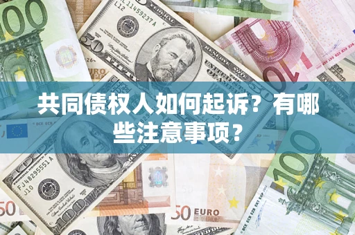 武汉共同债权人如何起诉？有哪些注意事项？